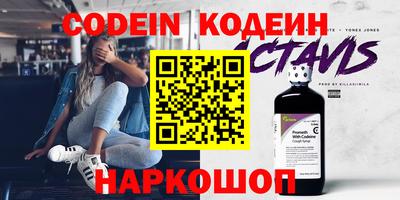 крисы Кулебаки
