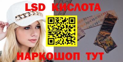 крисы Кулебаки
