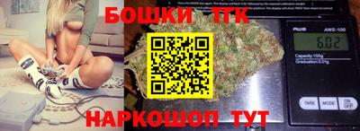 крисы Кулебаки