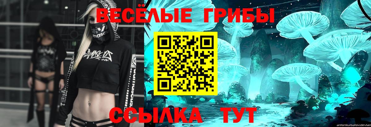 Галлюциногенные грибы Cubensis  Псилоцибиновые грибы мухоморы  купить наркоту  Уварово  Вход с VPN 